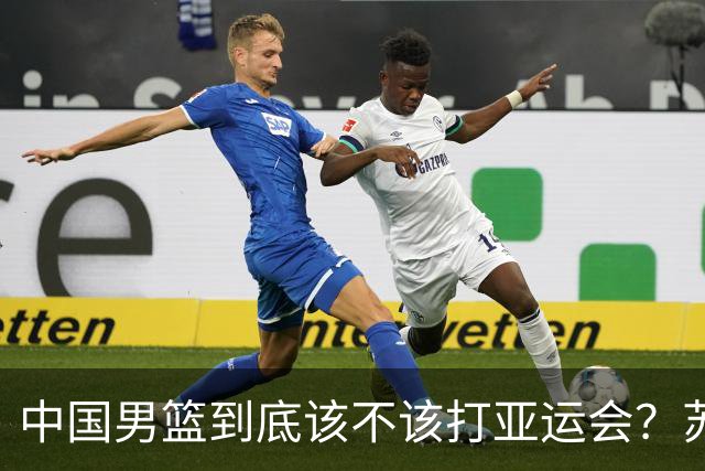 中国男篮到底该不该打亚运会？苏群的观点遭到杨毅的嘲讽